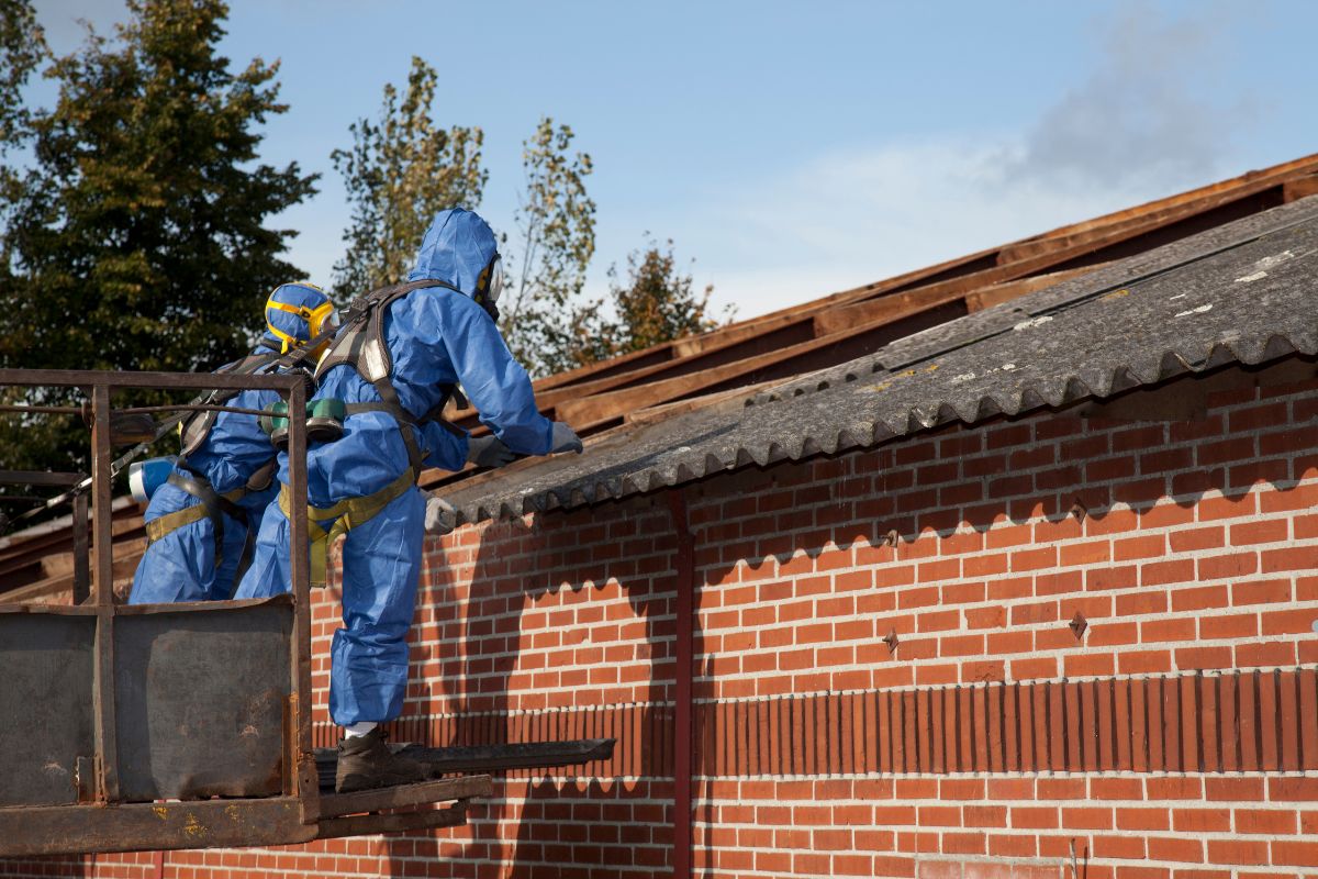 Two workers in protective gear removing algae from a roof, ensuring safety while performing maintenance tasks.