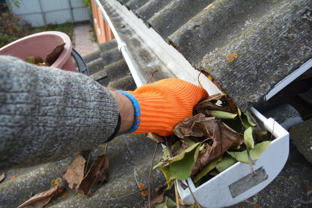 A person in gloves cleans a gutter, emphasizing the importance of maintaining a clean roof.