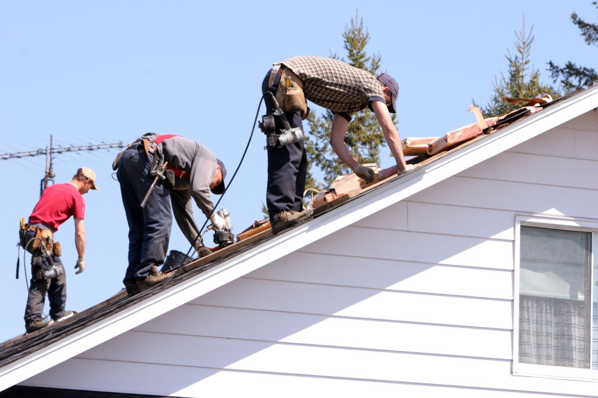 Three men using a ladder to work on a roof, applying a product labeled "Best Roof Algae Remover."