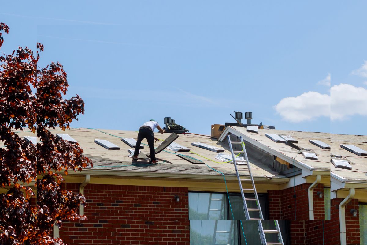 A man on a ladder cleaning algae and stains from the roof of a house.